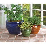 Jewel-tone Flower Pot Trio