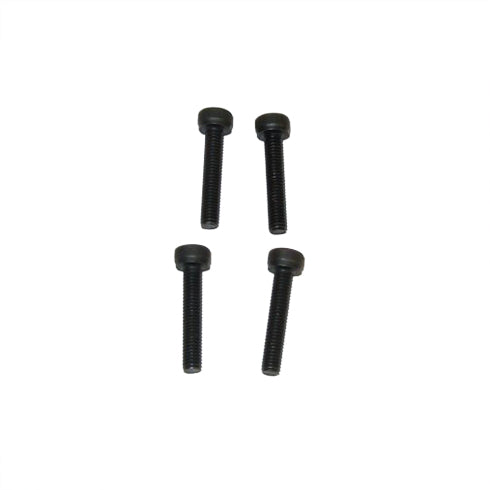 Redcat Racing TE001 Head screw for the SH .28 (3*16)